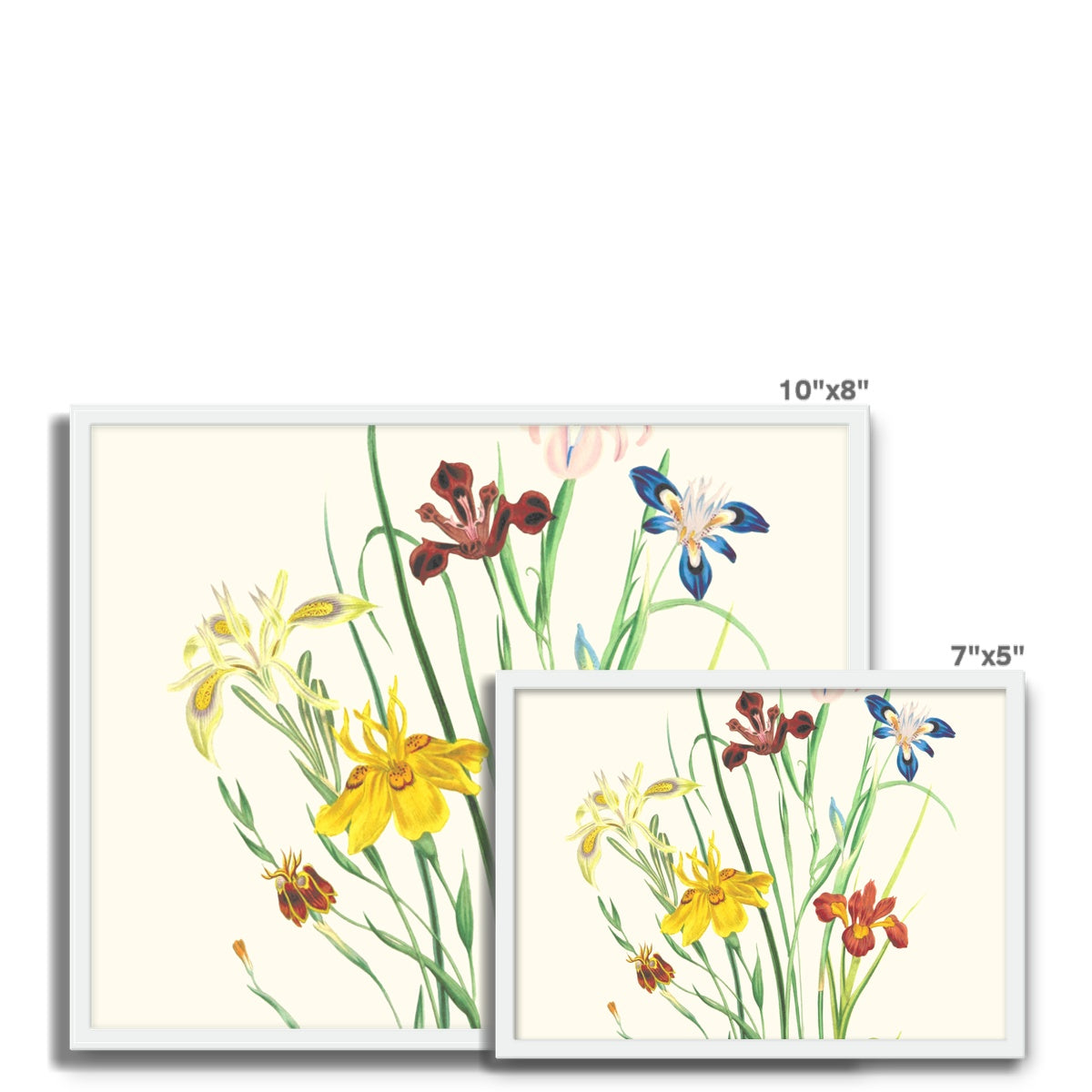 Wildflowers Framed Photo Tile