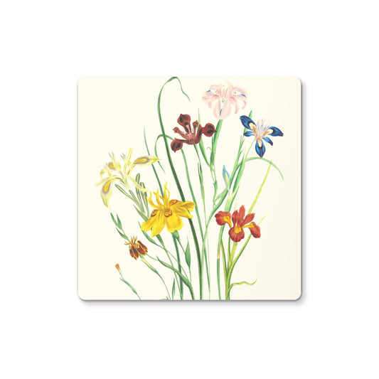 Wildflowers Coaster