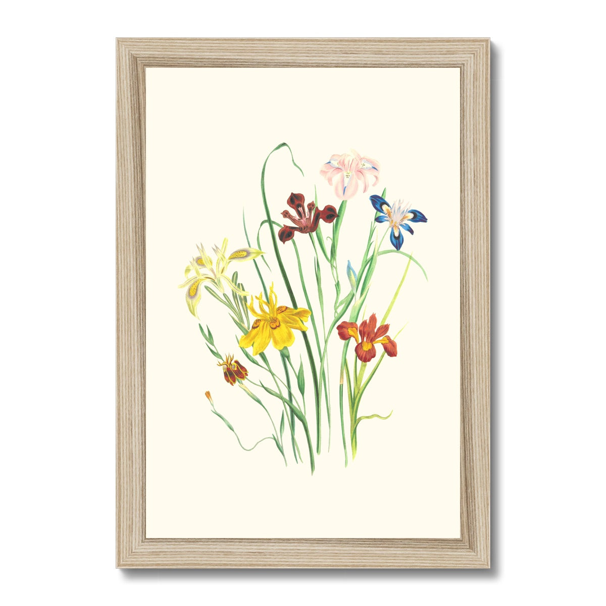 Wildflowers Framed Print