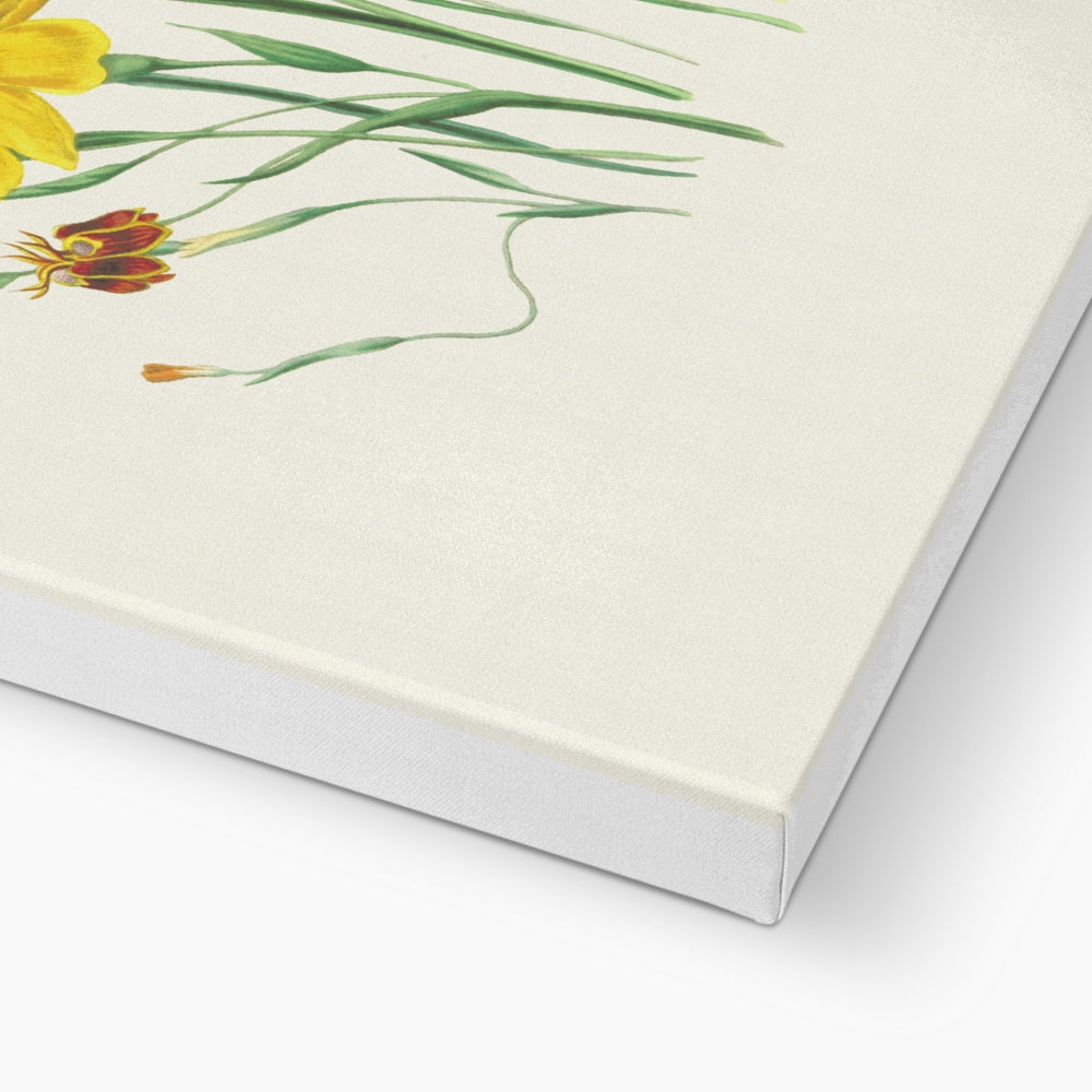 Wildflowers Canvas