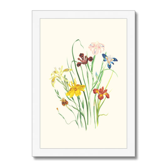 Wildflowers Framed Print