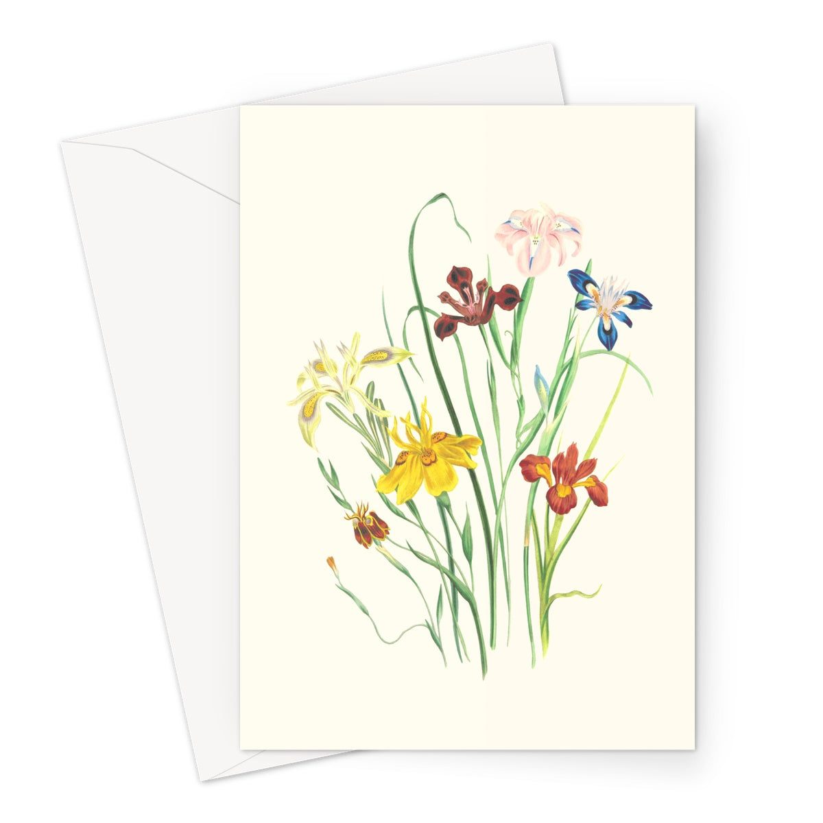 Wildflowers Greeting Card