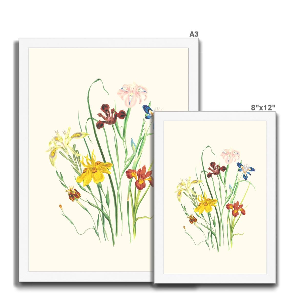 Wildflowers Framed Print