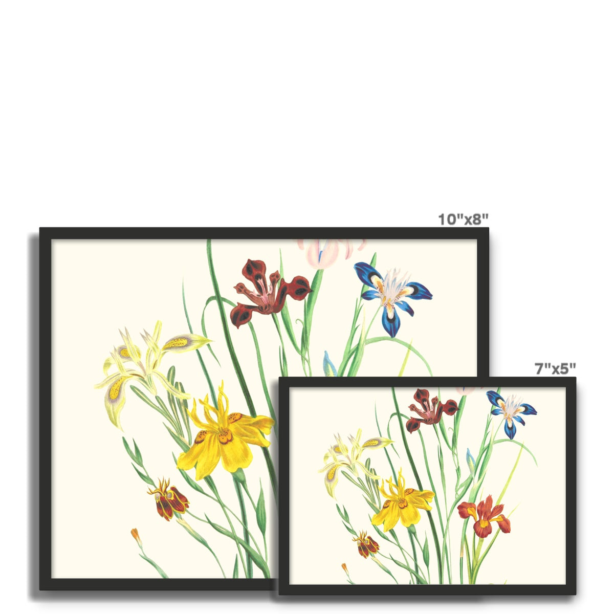 Wildflowers Framed Photo Tile