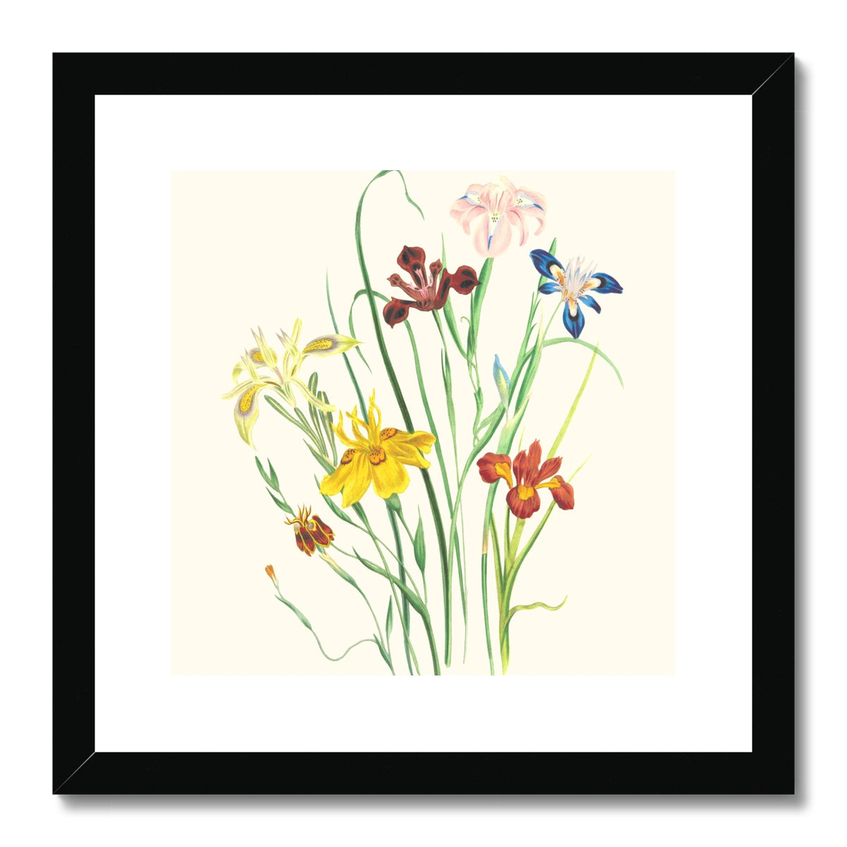 Wildflowers Framed & Mounted Print