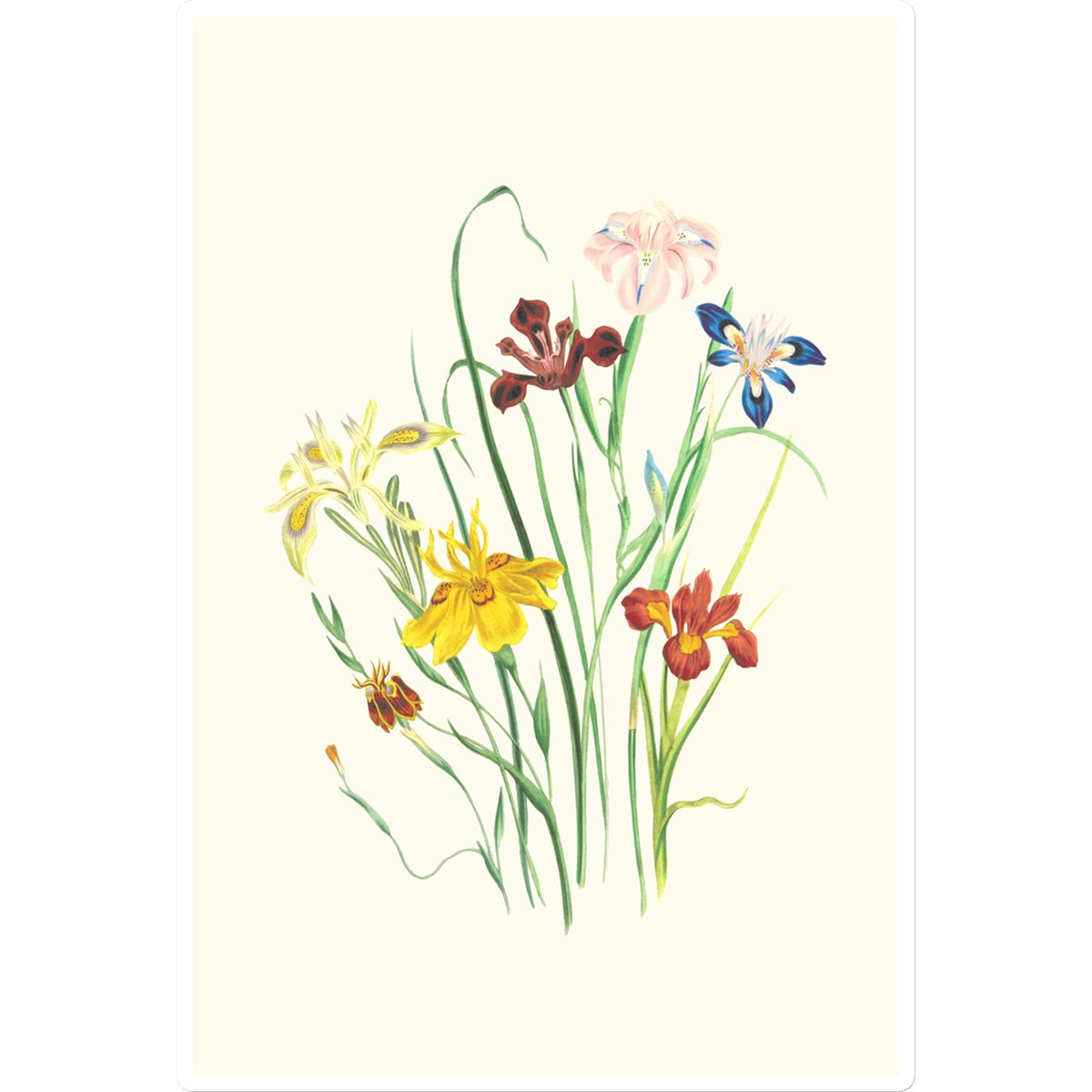 Wildflowers Sticker