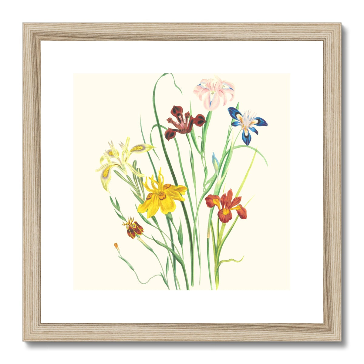 Wildflowers Framed & Mounted Print