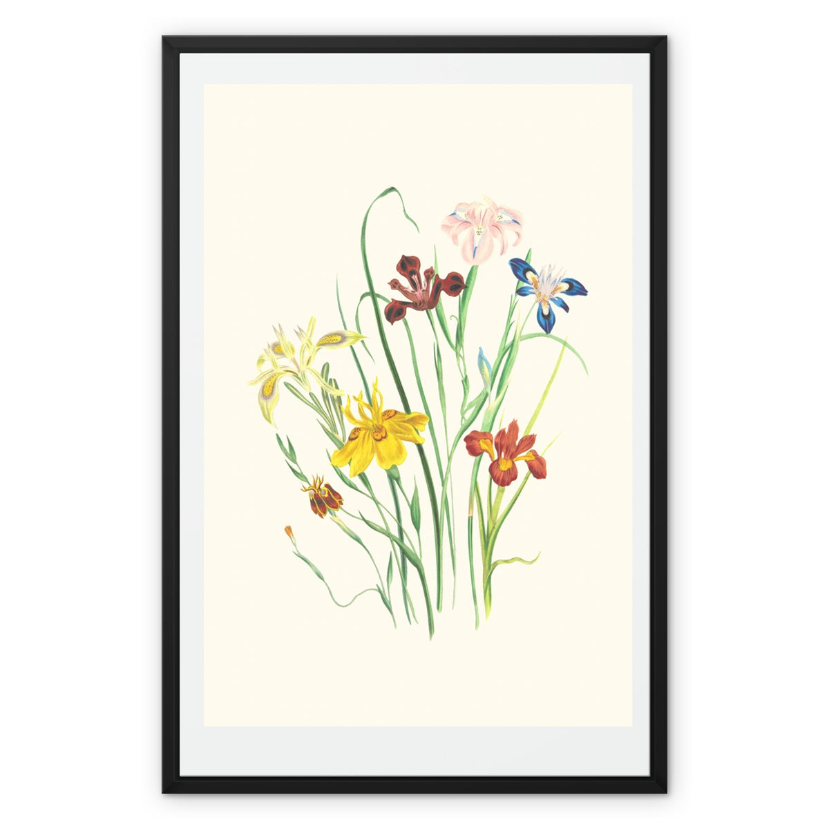 Wildflowers Framed Canvas