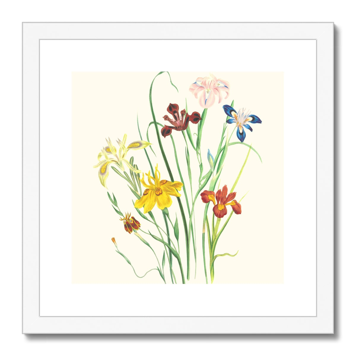 Wildflowers Framed & Mounted Print