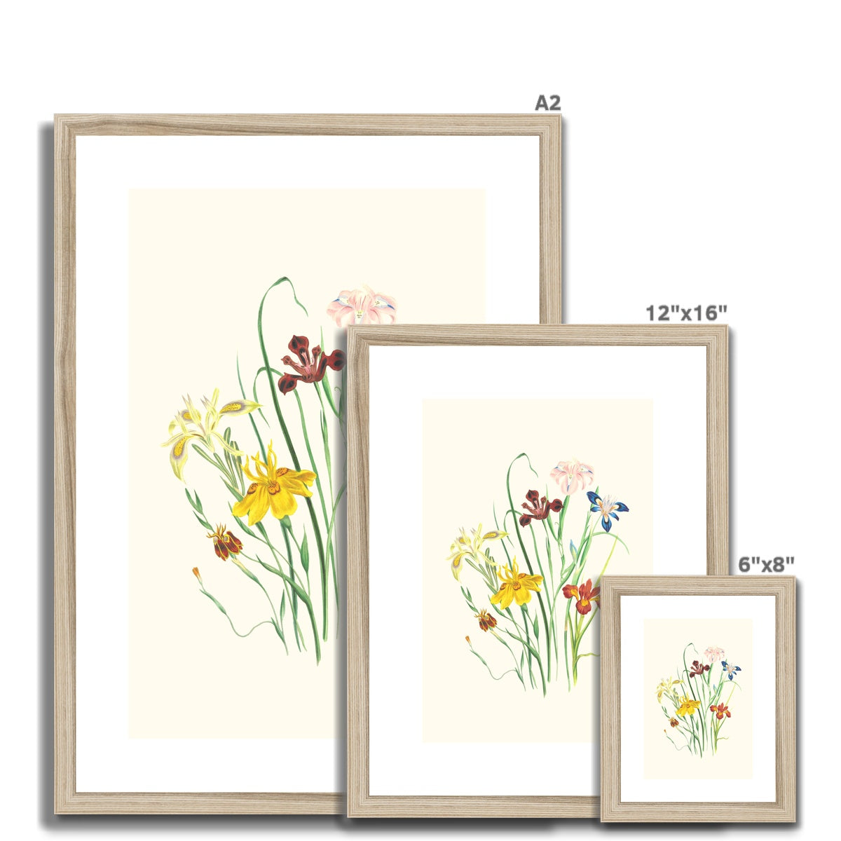 Wildflowers Framed & Mounted Print