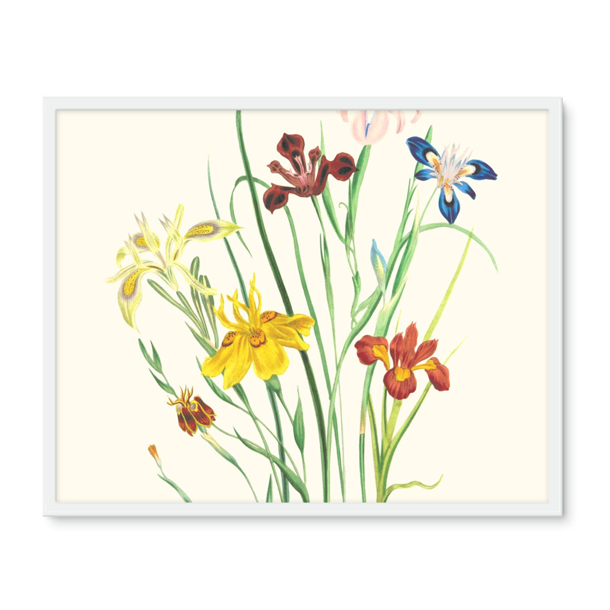 Wildflowers Framed Photo Tile