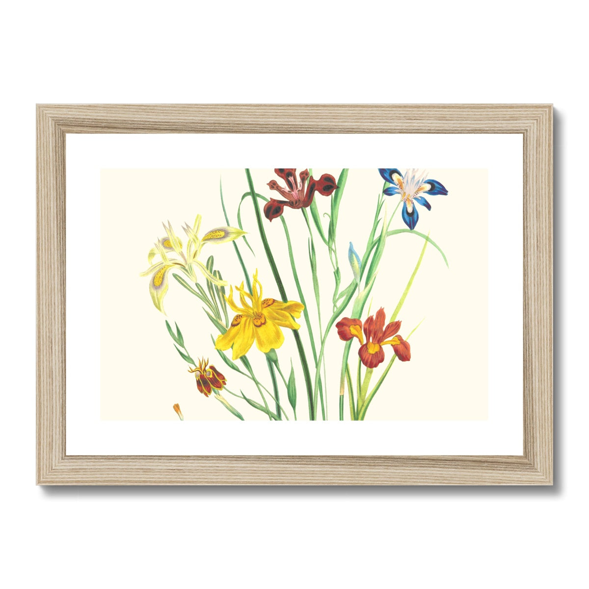 Wildflowers Framed & Mounted Print