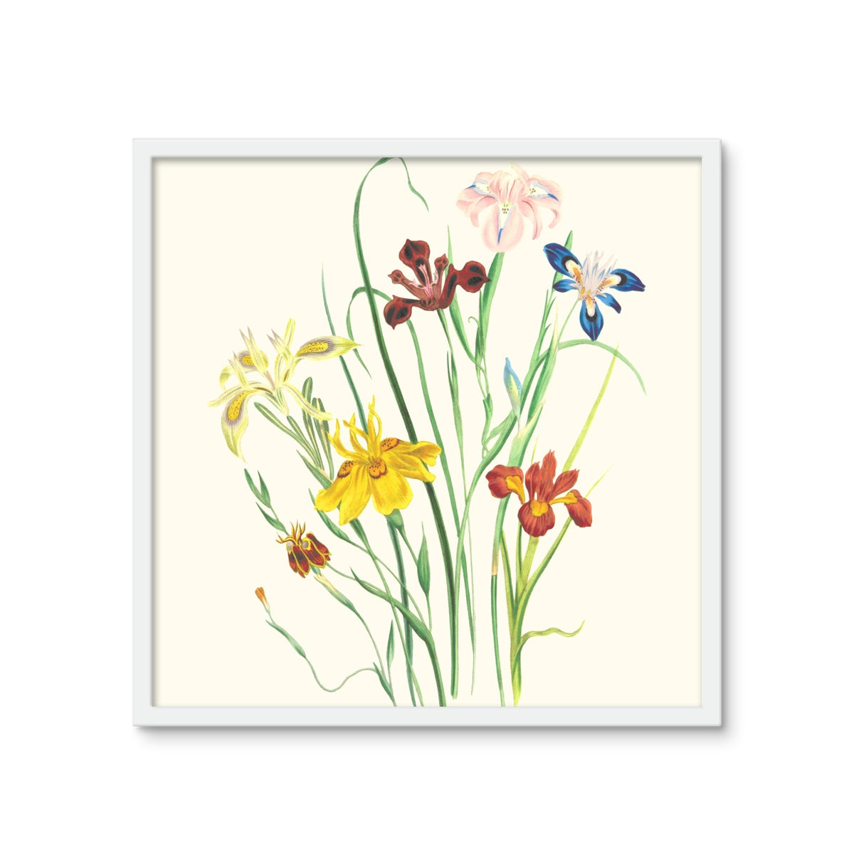 Wildflowers Framed Photo Tile