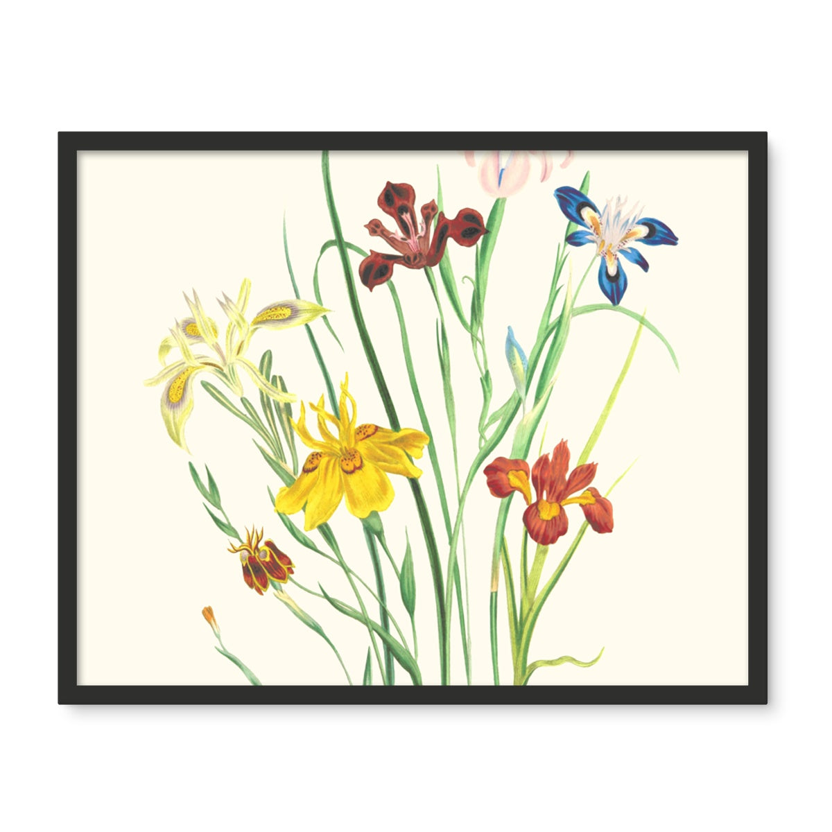 Wildflowers Framed Photo Tile