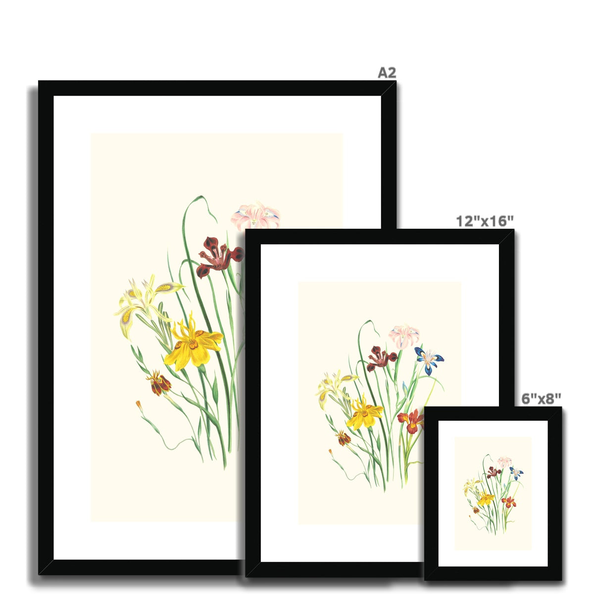 Wildflowers Framed & Mounted Print