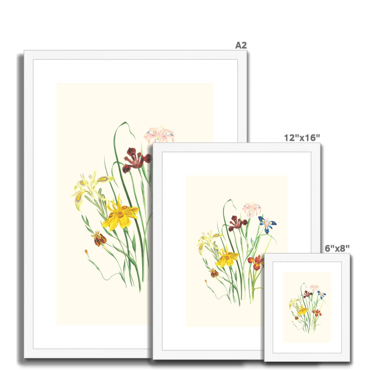 Wildflowers Framed & Mounted Print