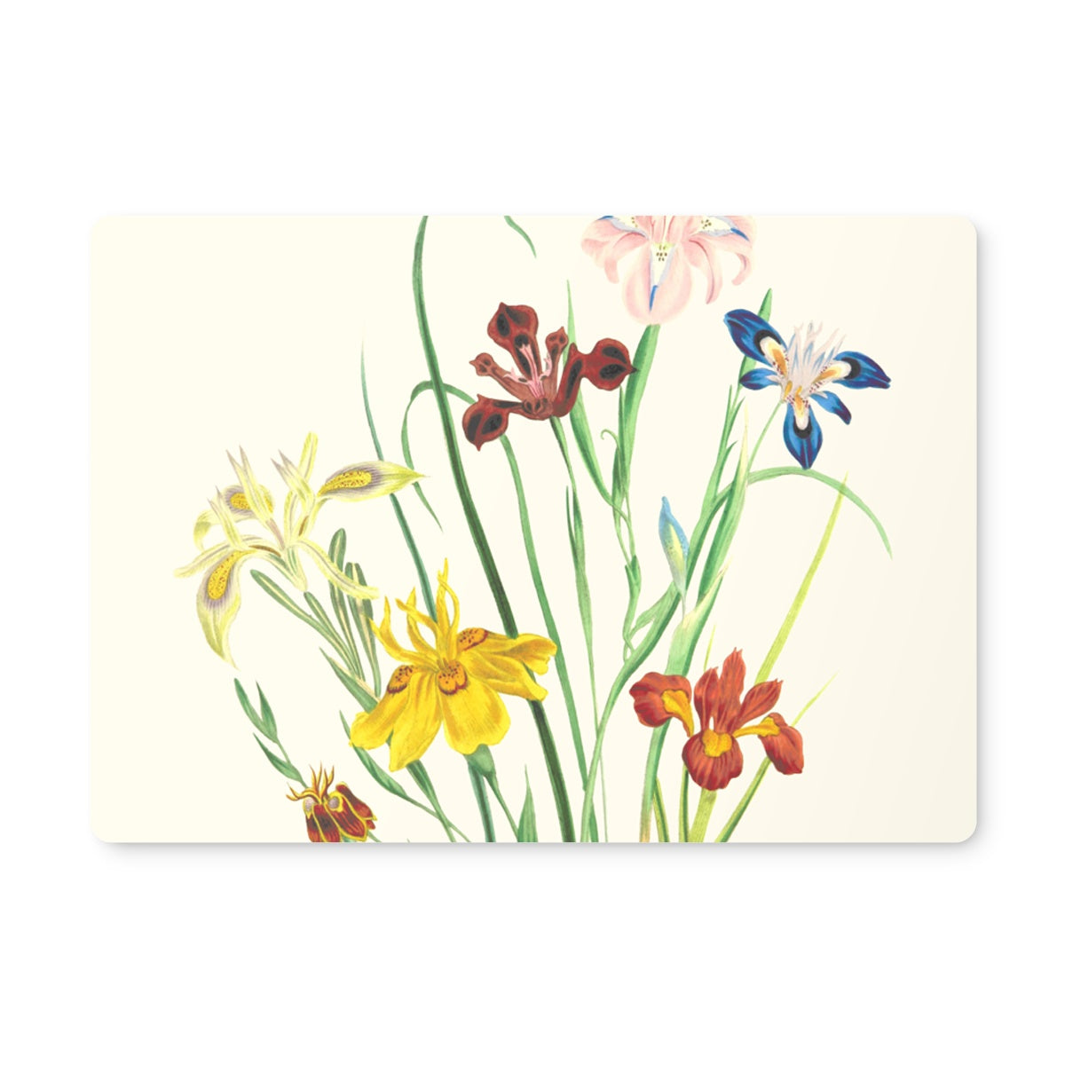 Wildflowers Placemat