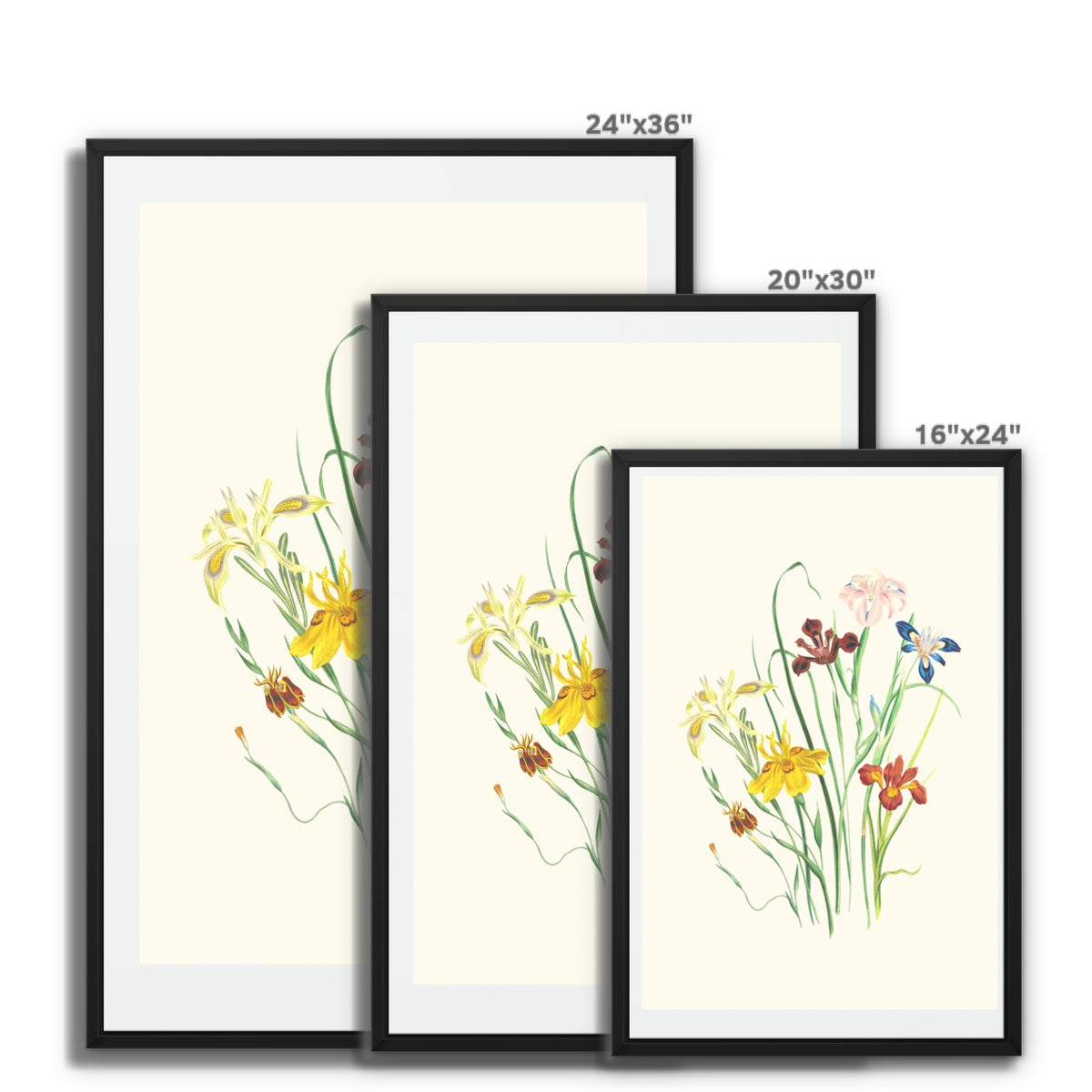 Wildflowers Framed Canvas