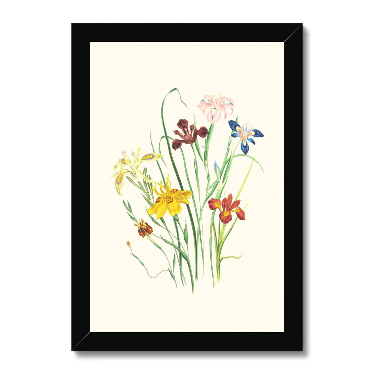 Wildflowers Framed Print