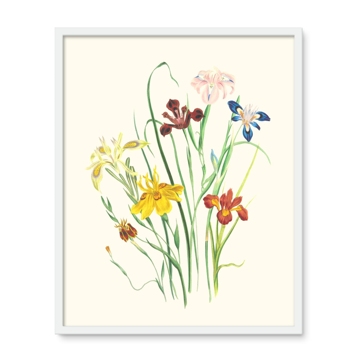 Wildflowers Framed Photo Tile