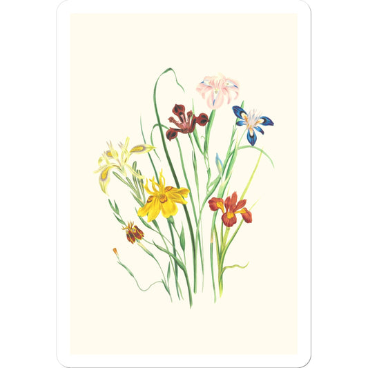 Wildflowers Sticker