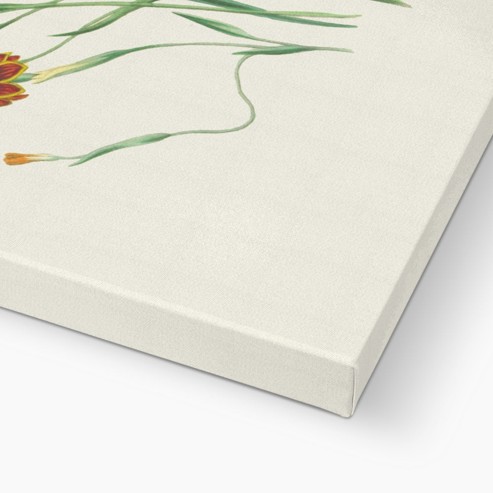 Wildflowers Canvas