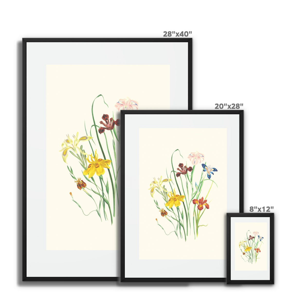 Wildflowers Framed Canvas