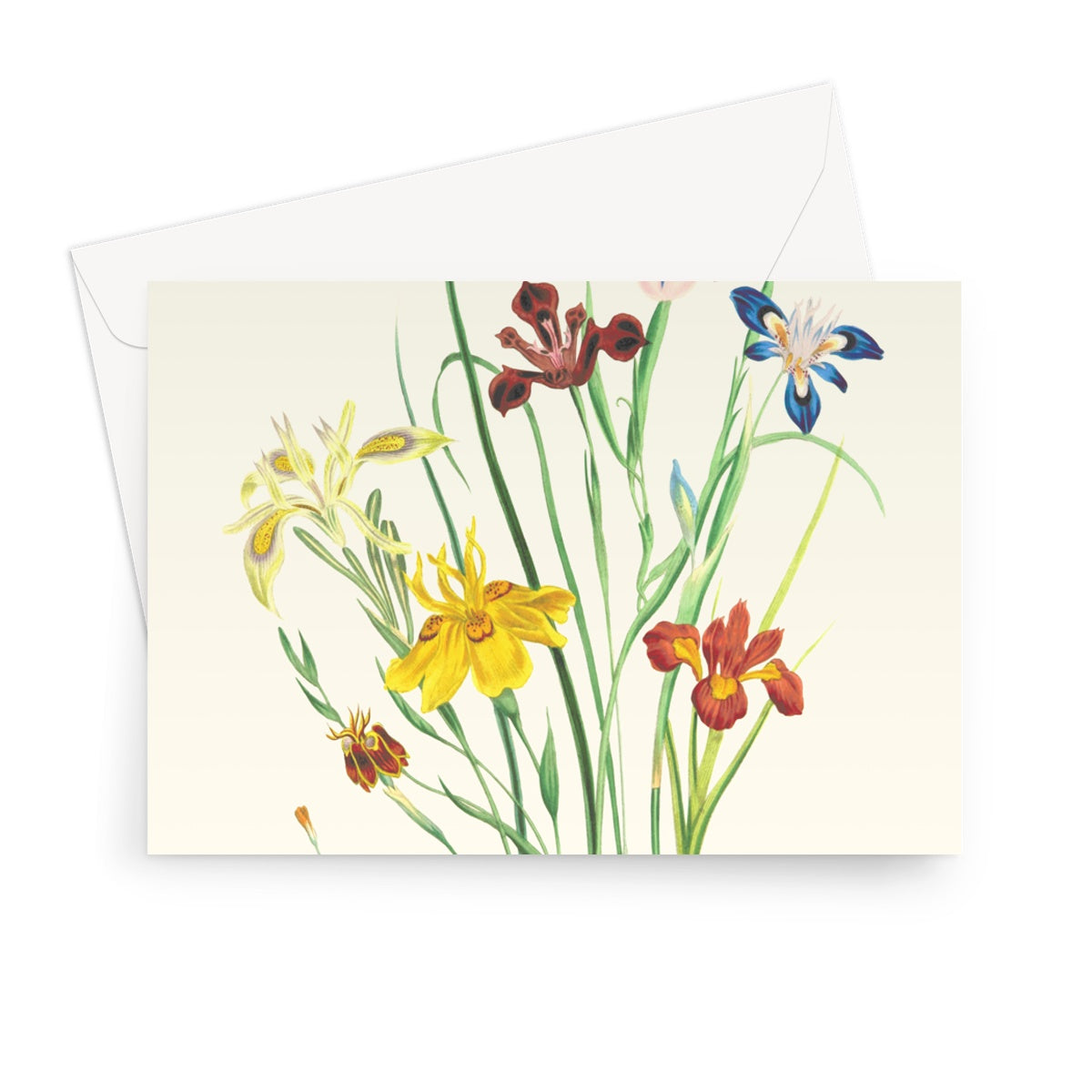 Wildflowers Greeting Card