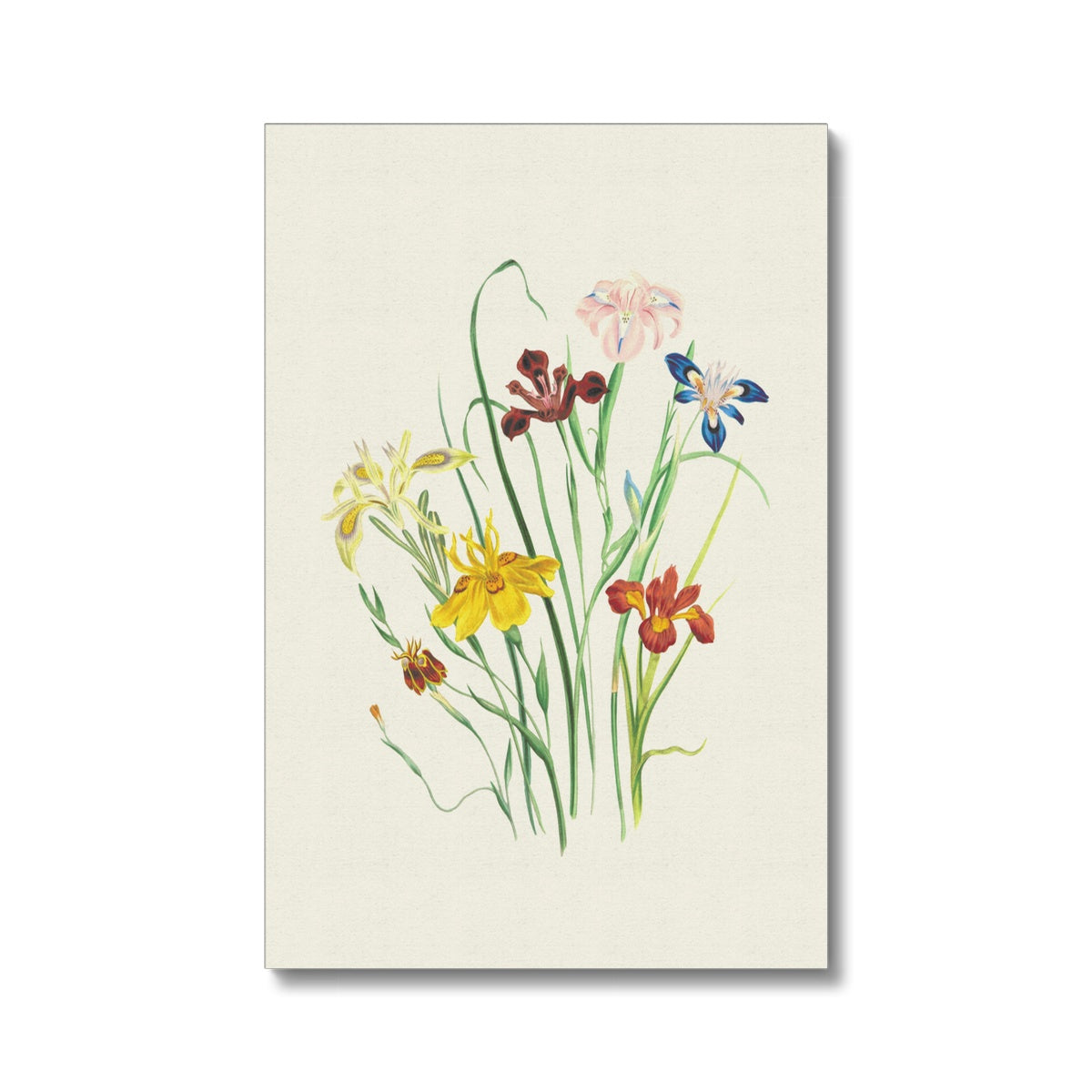 Wildflowers Canvas