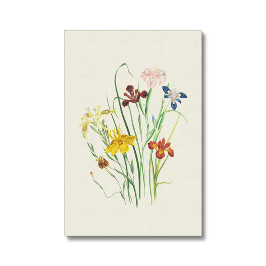 Wildflowers Canvas