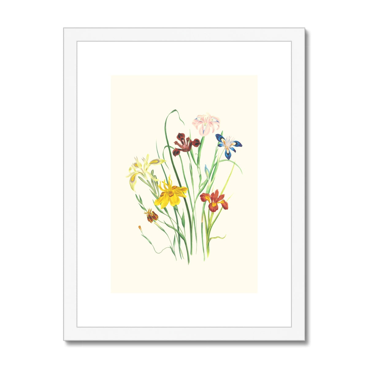 Wildflowers Framed & Mounted Print