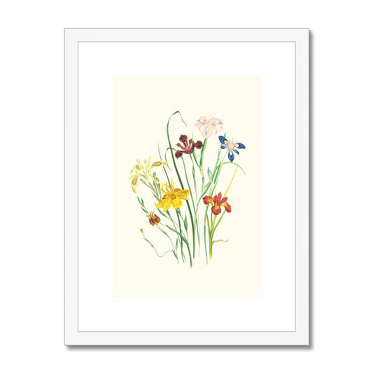 Wildflowers Framed & Mounted Print