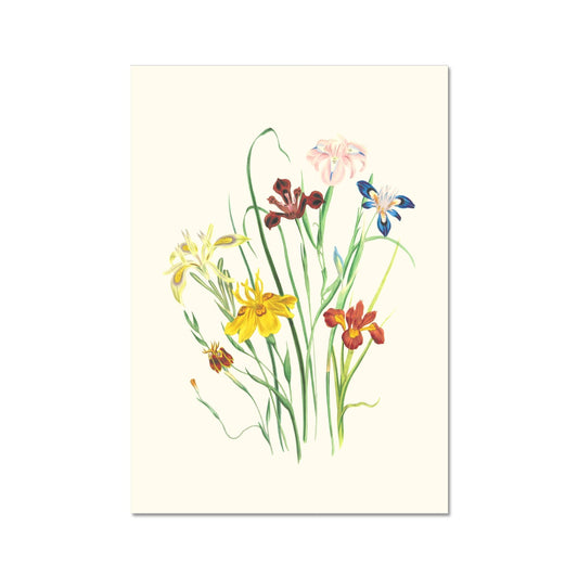 Wildflowers Fine Art Print