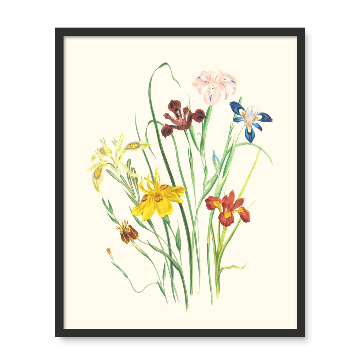 Wildflowers Framed Photo Tile