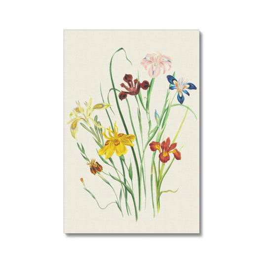 Wildflowers Canvas