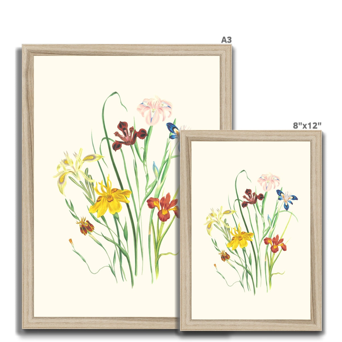 Wildflowers Framed Print