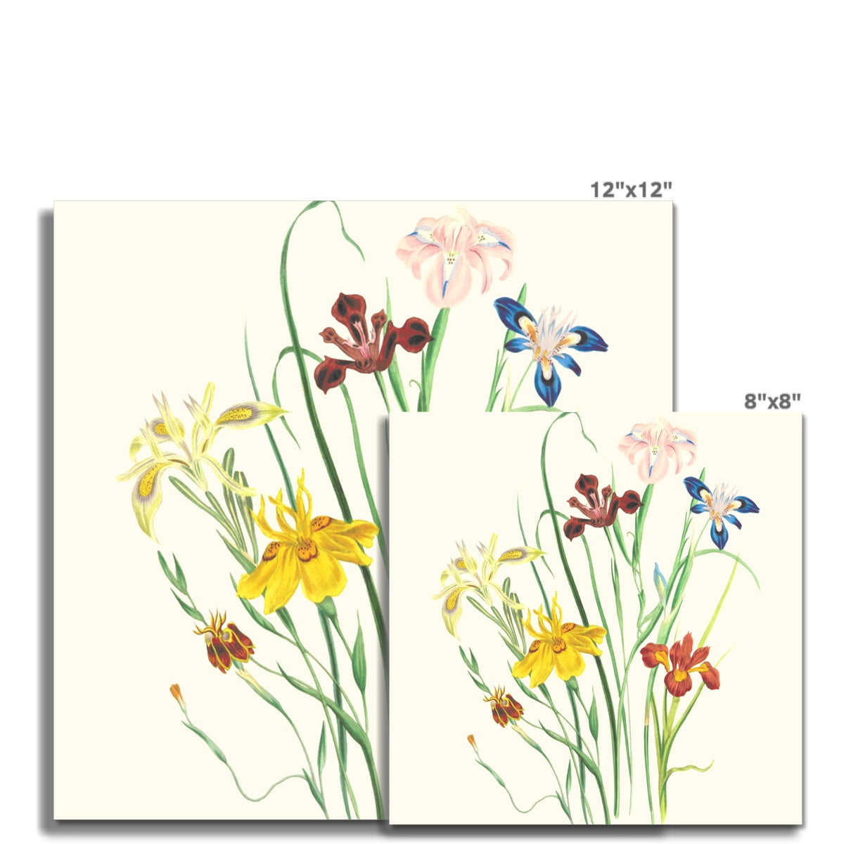 Wildflowers Fine Art Print