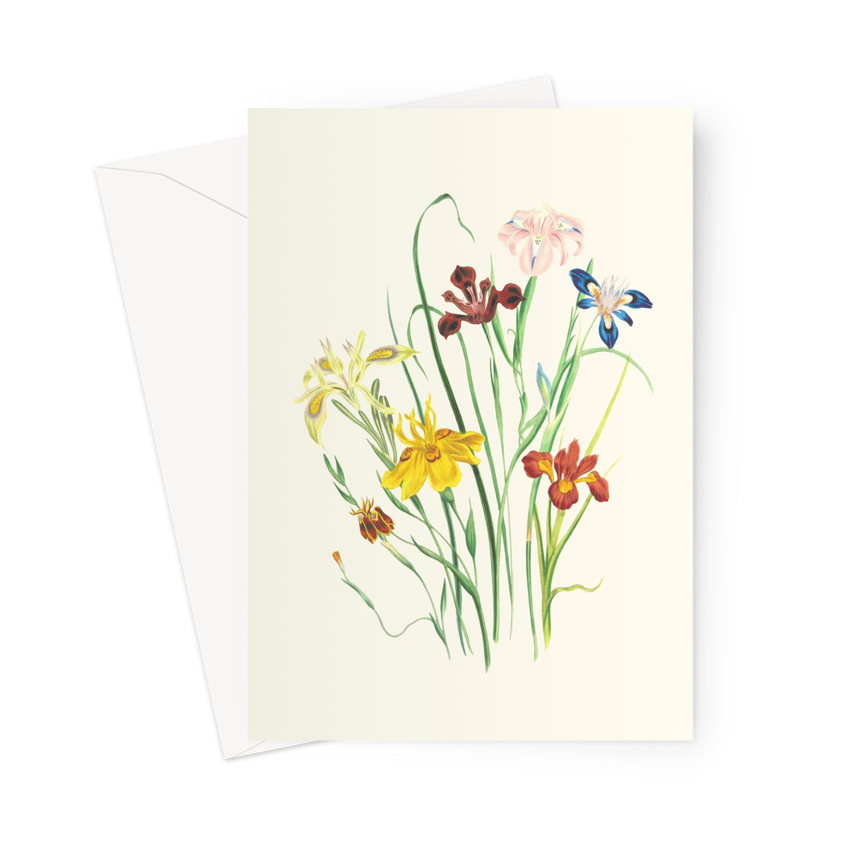 Wildflowers Greeting Card