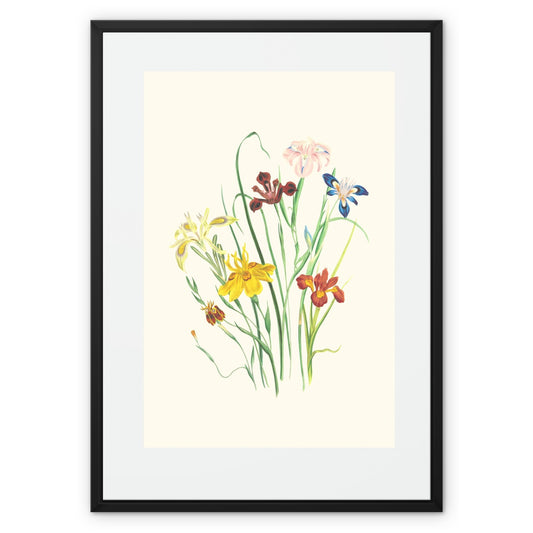 Wildflowers Framed Canvas