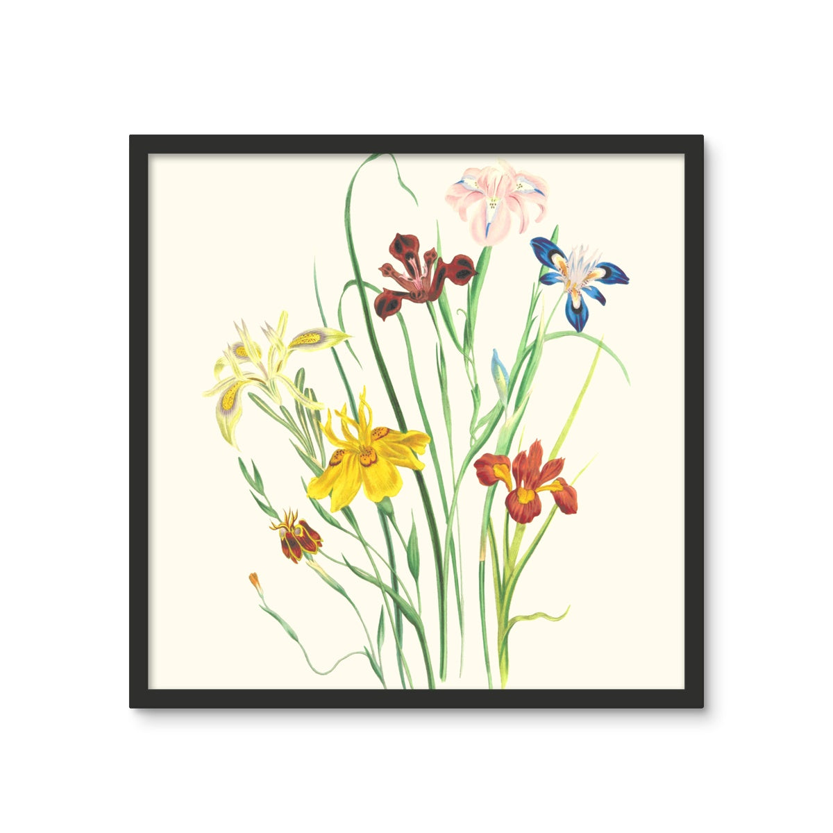 Wildflowers Framed Photo Tile