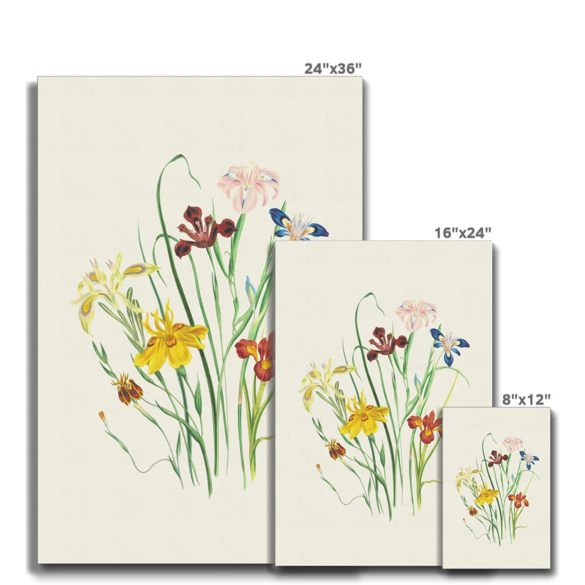 Wildflowers Canvas