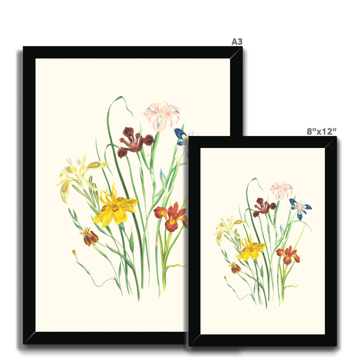 Wildflowers Framed Print