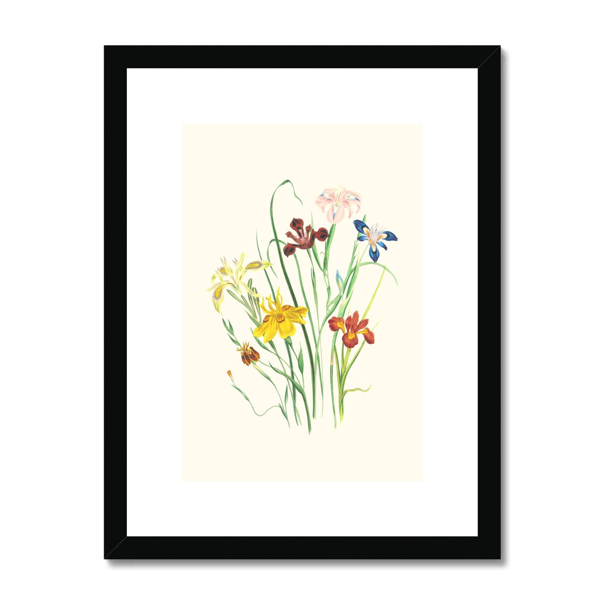 Wildflowers Framed & Mounted Print