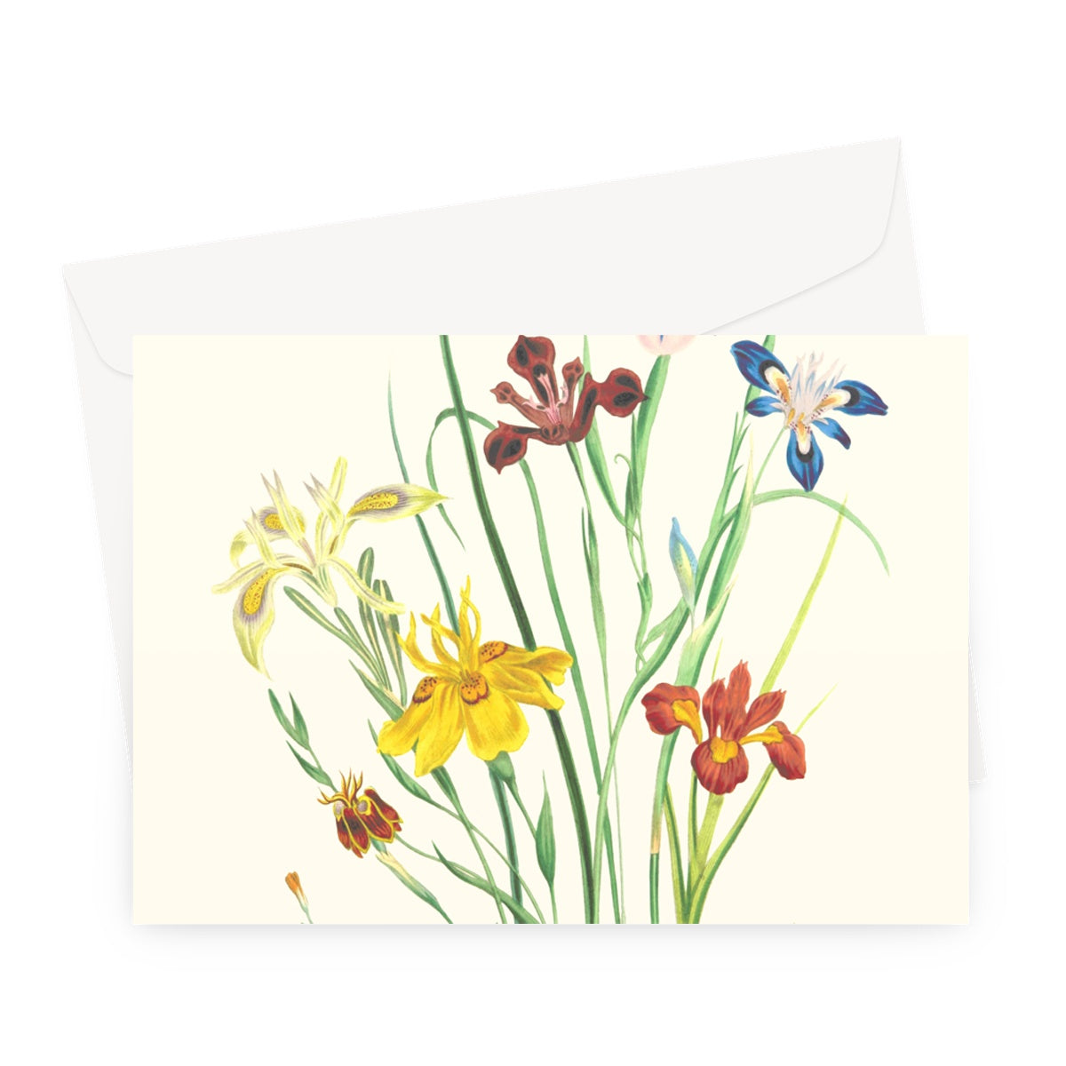 Wildflowers Greeting Card